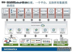 數據亂象解決之道 全面數據治理與專業數據處理服務