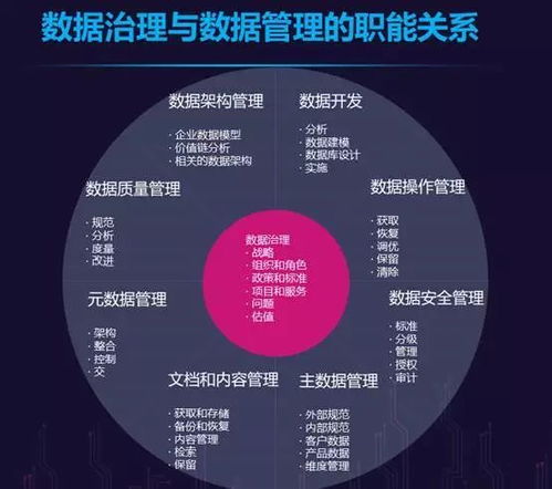 文雅之道 以數據治理推動政府服務創新